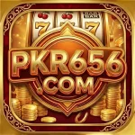 PKR656
