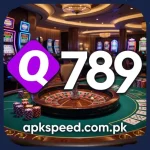 Q789 Game