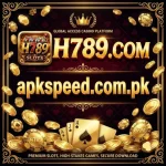 H789 Game