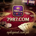 7987 Game