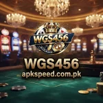 WGS456 Game