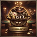 WIN1313