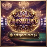804Slot Game
