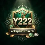 Y222 Game