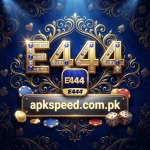 E444 Game