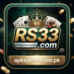 RS33 Game