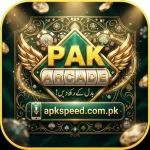 ARCADE Game