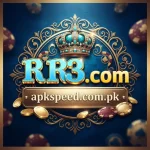 RR3 Game