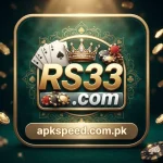 RS333 Game