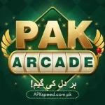 PAK Arcade