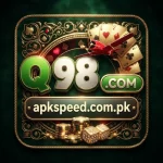 Q98 Game