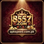 8557 Game