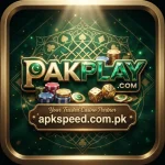 PAKPLAY Game