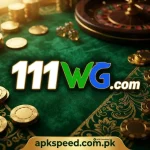 111WG Game
