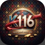 K116 Game